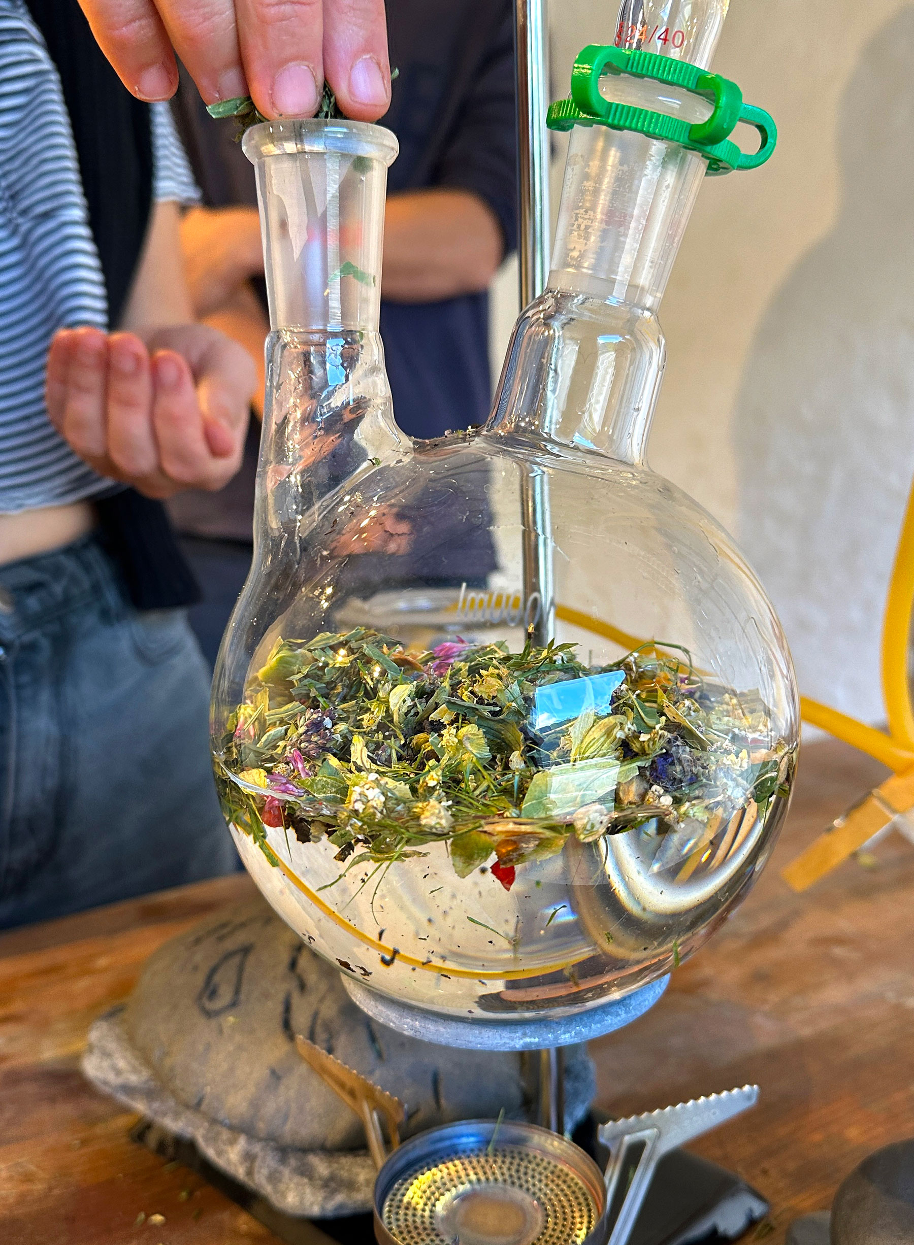 Lulu & Whiskey art with destillation and plants, workshop, 2024