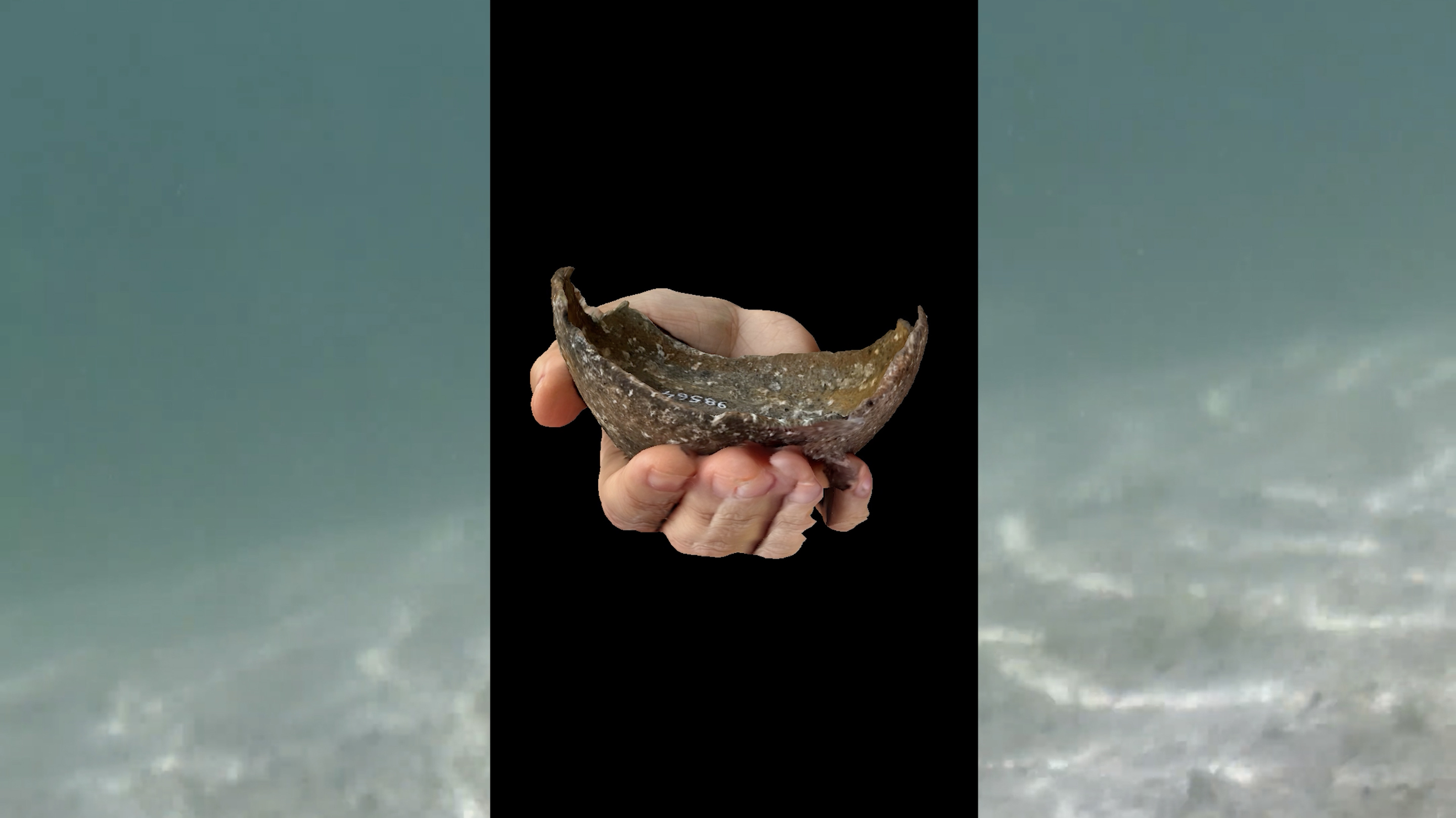 Lulu & Whiskey art ceramic videostill 'Underwater Gardens', 2025